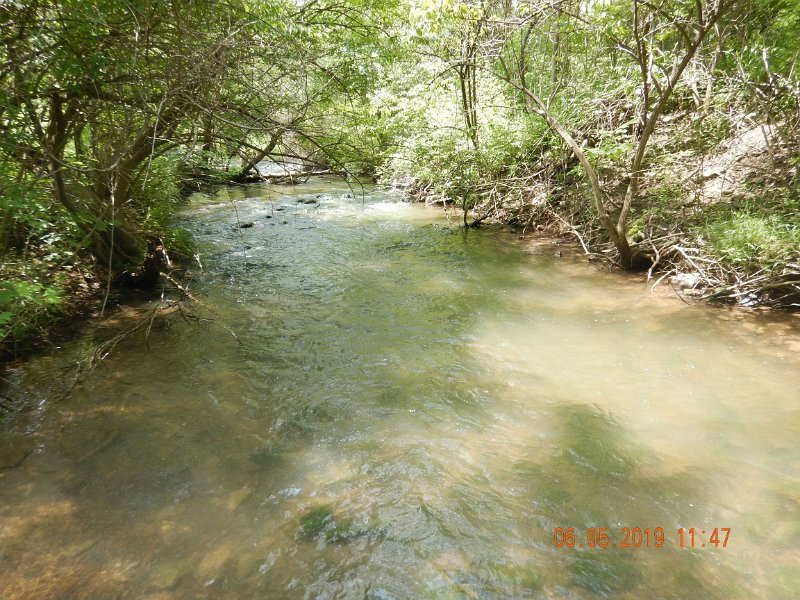 $BaldEagleStatePark2006$.jpg - Wanted to fish Nittany Run.  Supposed to hold wild trout.  I was not impressed.  Looked like a farm stream.  Cloudywater that ran through farm fields is not my kind of wild trout stream.  No casting here either.  Very dense brush.  Probably won't be back to this one.