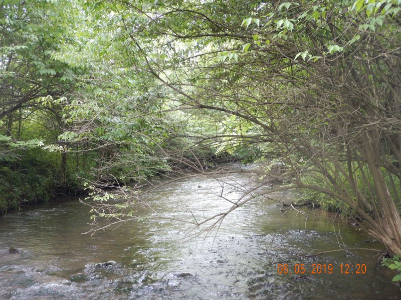 $BaldEagleStatePark2008$.jpg - This was usually what I saw on Nittant Run.  Not much to be happy about here.