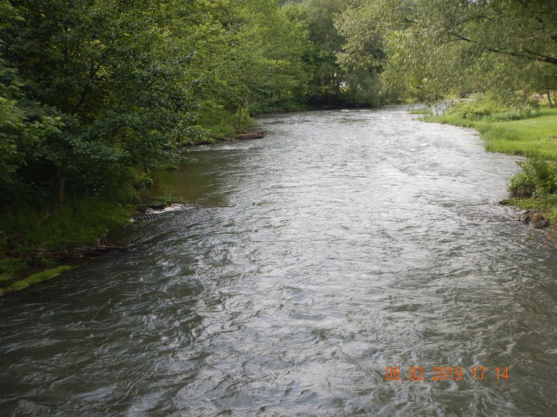 $BaldEagleStatePark2019$.jpg - Spring Creek at the Paradise. Still cloudy and still a bit high but certainly fishable.