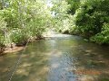 $BaldEagleStatePark2007$