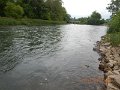$BaldEagleStatePark2011$