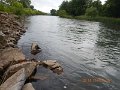 $BaldEagleStatePark2018$