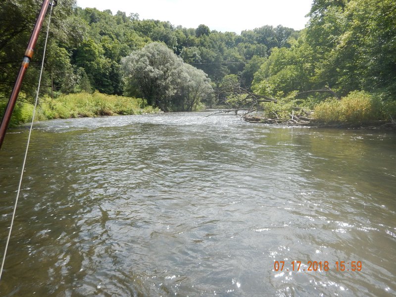 $Bald Eagle and Spring Creeks-002$.jpg - Sure is a pretty stream.  When I visit this area next time, I'll be better prepared.