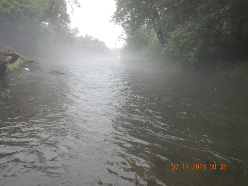 $Bald Eagle and Spring Creeks-032$.jpg - Current is pretty quick here, even before the rain.  It picked up after the rain ended. This is Spring Creek at the lower section.