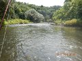 $Bald Eagle and Spring Creeks-002$