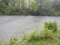 $Bald Eagle and Spring Creeks-003$