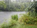 $Bald Eagle and Spring Creeks-004$