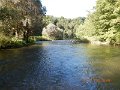 $Bald Eagle and Spring Creeks-005$