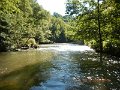 $Bald Eagle and Spring Creeks-008$