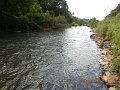 $Bald Eagle and Spring Creeks-009$