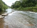 $Bald Eagle and Spring Creeks-010$