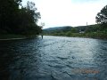 $Bald Eagle and Spring Creeks-011$