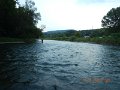 $Bald Eagle and Spring Creeks-012$