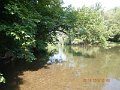 $Bald Eagle and Spring Creeks-016$