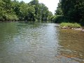 $Bald Eagle and Spring Creeks-023$