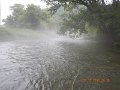 $Bald Eagle and Spring Creeks-031$