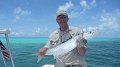 Target---Barracuda