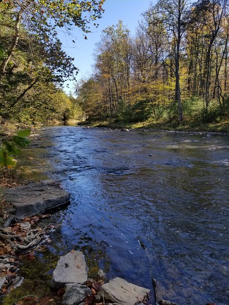 20171017_102137.jpg - It would be tough to find a prettier stream to fish.  Just wish the trout would have been more active.  Each boil I saw I hit and caught a fish.  Unfortunately the fish we caught weren't trout.