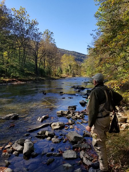 20171017_102140.jpg - Here I am surveying the stream looking for any sign of trout....or bugs.  Didn't see either...so sad.