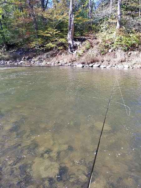20171017_110851.jpg - There were deep holes like this one but, alas, no trout here either.