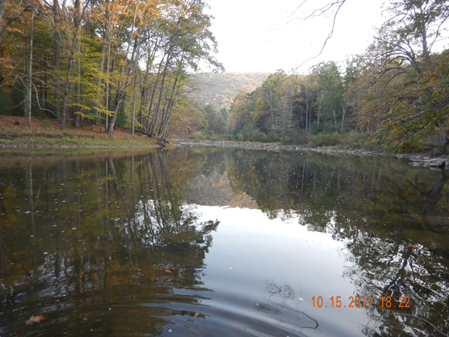 DSCN2703.jpg -                                We did see fish hitting the surface at this location and, once again, all chubs.