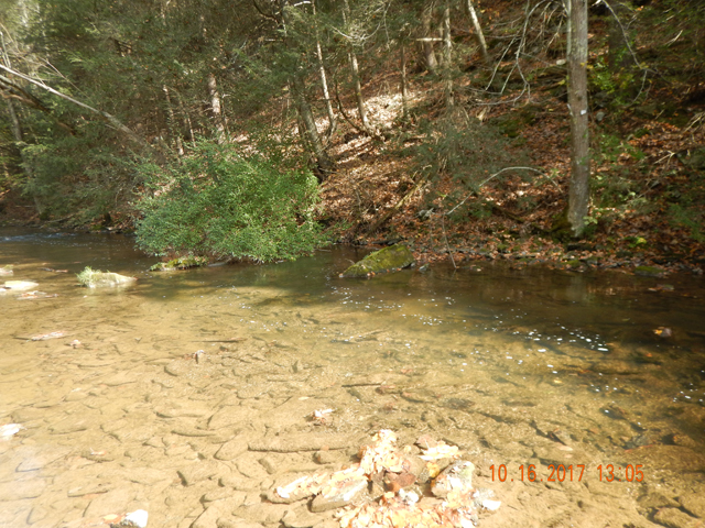 DSCN2706.jpg -                                Was a pretty stream but it is too close to the road and probably suffers from the chemicals put on the road during the winter.