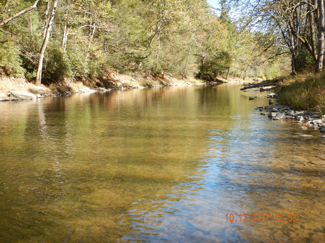 DSCN2714.jpg -                                This water showed no activity and when it did, it was chubs.