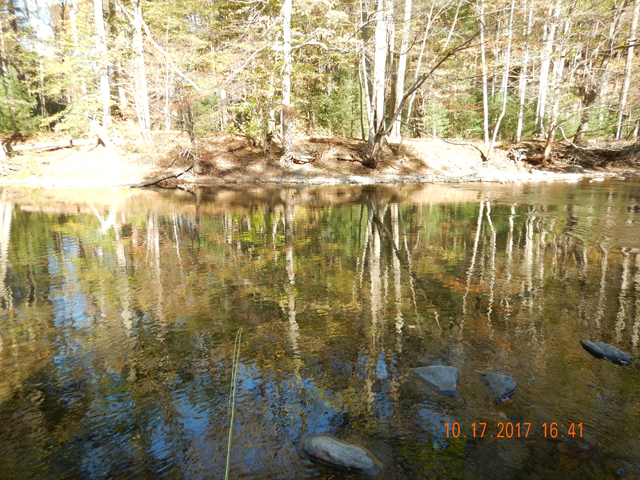 DSCN2727.jpg -                                Took that trout right out of this section.
