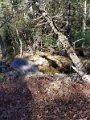 20171018_094040