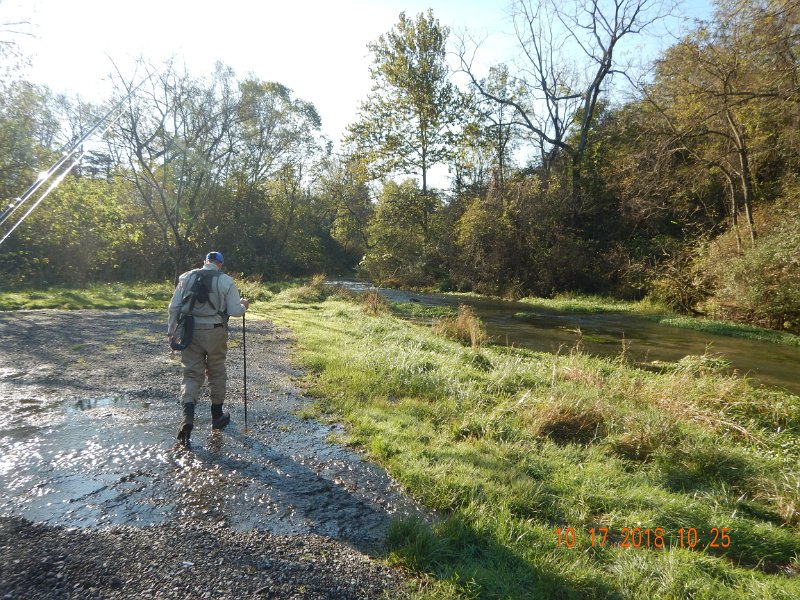 $Spring Creek010$.jpg - We wanted to hit the riffles in the distance.  That's pretty much where we started.