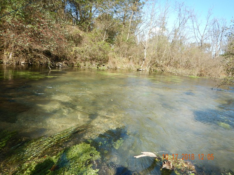 $Spring Creek013$.jpg - The wind kicked up in the early afternoon and made the fish spooky.
