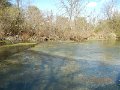 $Spring Creek003$