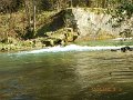 $Spring Creek006$