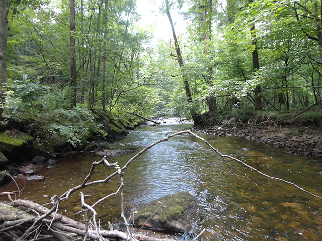 DSC01048.jpg - Scenic 1 - Mountain Creek.  It looks better than it was.  Water was in the 70's.                             