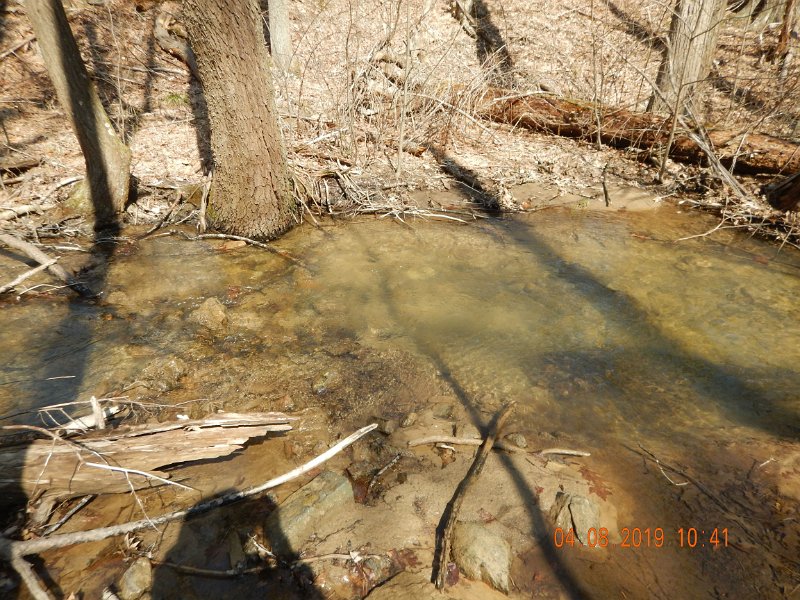 $BigSpringPatterson1001$.jpg - Big Spring, at trib of Patterson Run and Sherman Creek is small but it does hold its share of brookies.