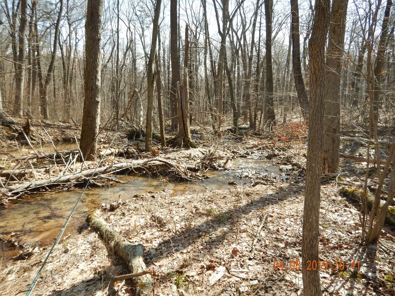 $BigSpringPatterson1003$.jpg - Air temp was about 75 deg. bugs were out but not on the water.