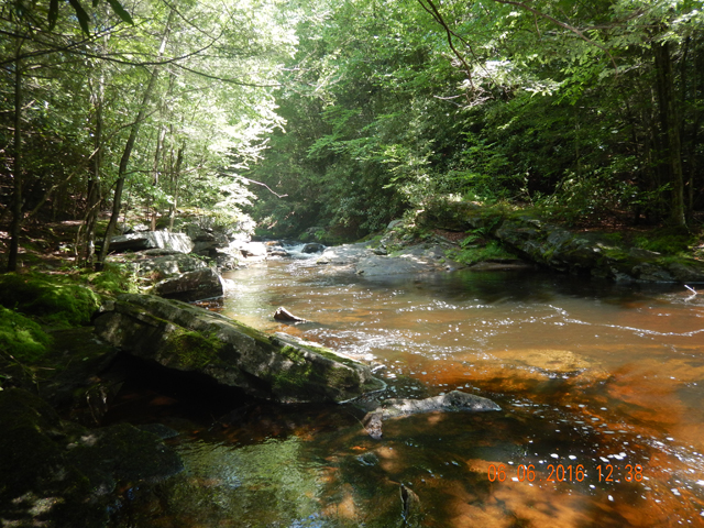 DSCN1423.jpg -                                Then it was down stream to the Lehigh.  Little did we know the Lehigh was swolen due to recent heavy rains.  This was still Black Creek.
