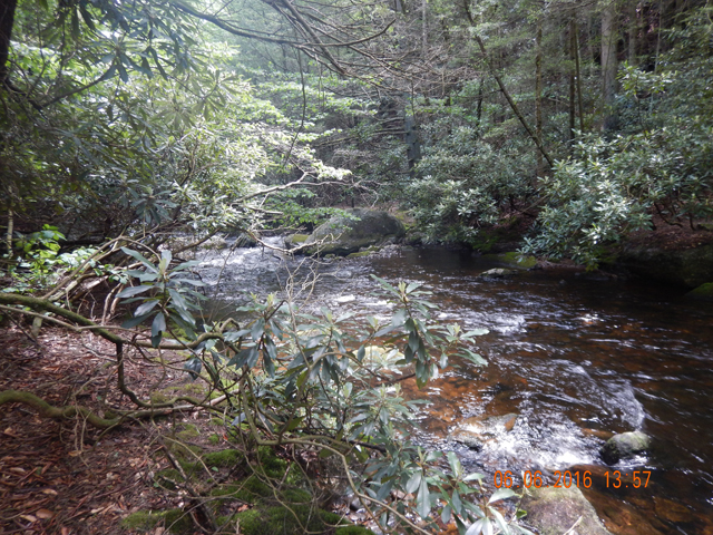 DSCN1433.jpg -                                Casting wasn't always easy but good casts were rewarding. 
