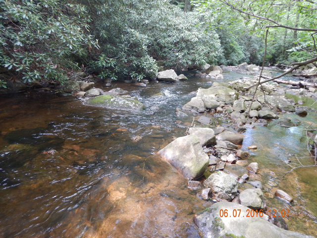 DSCN1437.jpg -                                Hickory too had a bit more water than normal but it made for fun fishing.