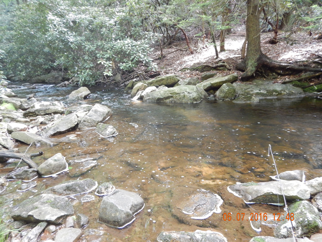 DSCN1441.jpg -                                That fish was holding in this run.