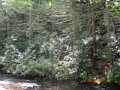 DSCN1431