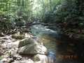 DSCN1435