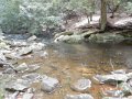 DSCN1441
