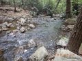 DSCN1444
