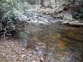 DSCN1446