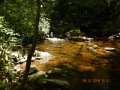 DSCN1450