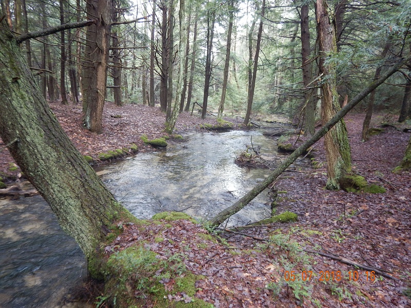 DSCN3141.jpg - Smays Run