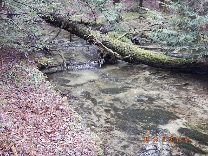 DSCN3142.jpg - Smays was a pretty stream but no wild brookies.