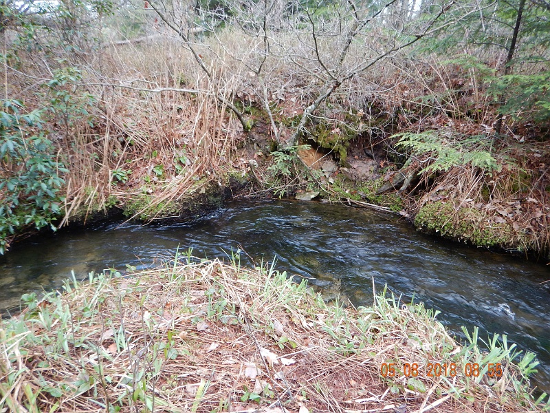 DSCN3168.jpg - I missed several fish in this run until I got the one in the previous slide.