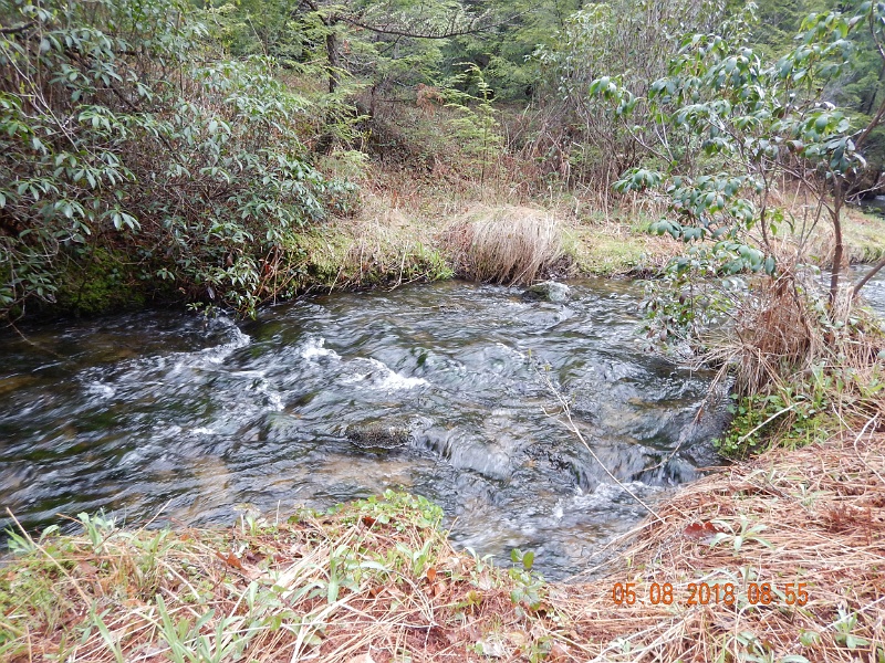 DSCN3170.jpg - Scenic pic.